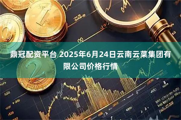 鼎冠配资平台 2025年6月24日云南云菜集团有限公司价格行情