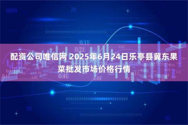 配资公司唯信网 2025年6月24日乐亭县冀东果菜批发市场价格行情