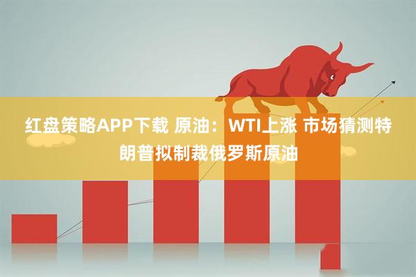 红盘策略APP下载 原油：WTI上涨 市场猜测特朗普拟制裁俄罗斯原油