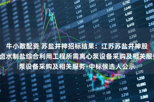 牛小散配资 苏盐井神招标结果：江苏苏盐井神股份有限公司储气库卤水制盐综合利用工程所需离心泵设备采购及相关服务-中标候选人公示