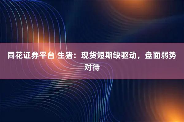 同花证券平台 生猪：现货短期缺驱动，盘面弱势对待